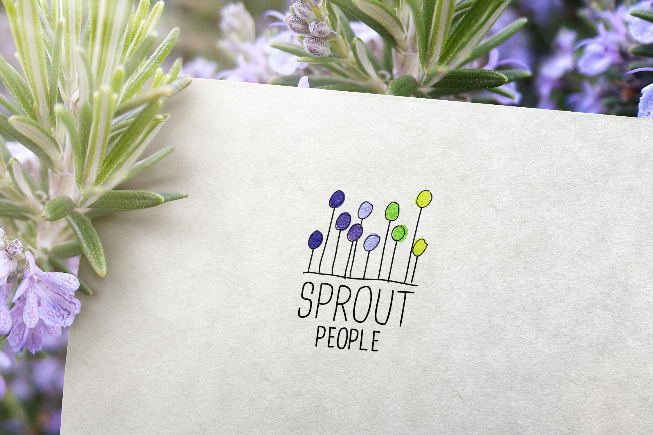 Close up of the Sprout People logo design on paper